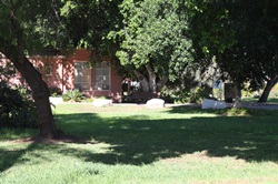 דיור מוגן – מעוצב ויוקרתי