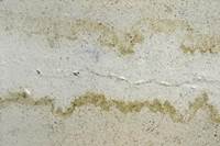 הסכנות בחשיפה לרטיבות ועובש בגיל השלישי