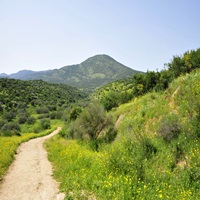 טיולי כוכב לגיל השלישי