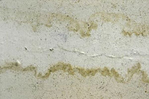 איטום קירות בסנפלינג בבתי אבות