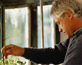 כלכלת גיל הזהב