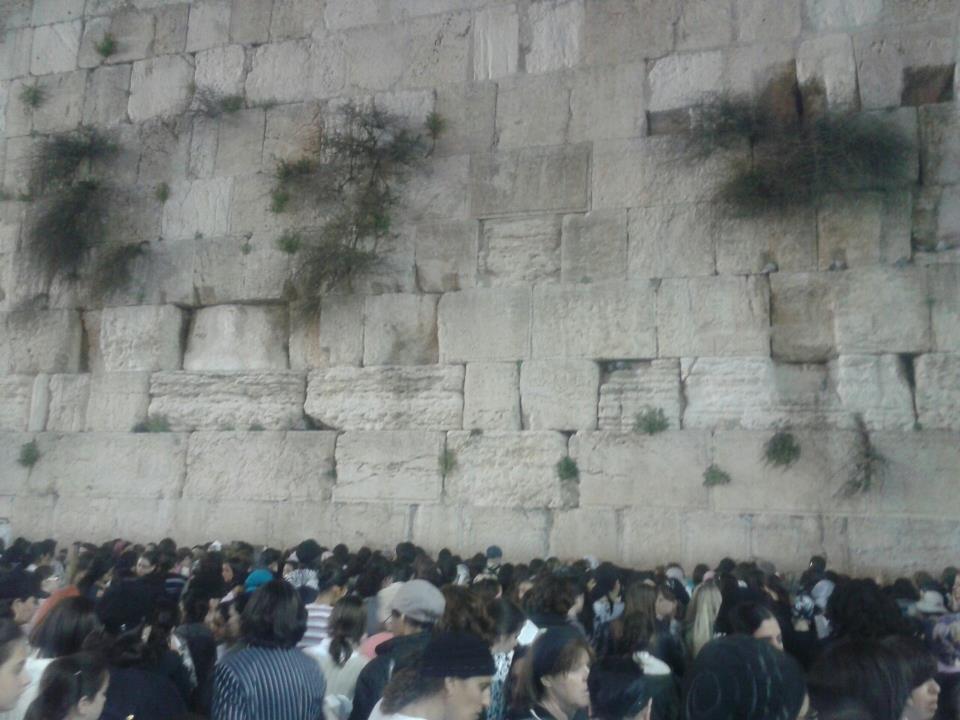 מסלולים ששווים זהב