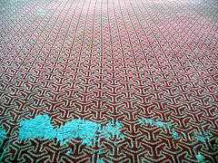 הכן ביתך לפסח