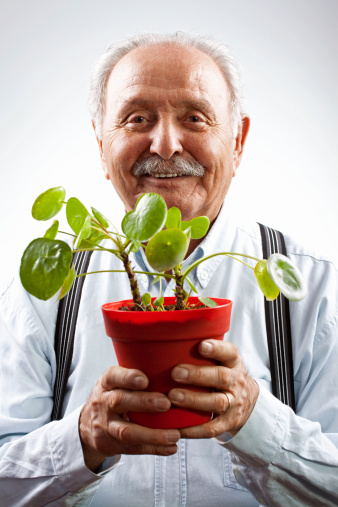 אהבה ופרחים בגיל הזהב