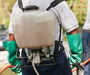 הדברה בבתים של אנשים מבוגרים