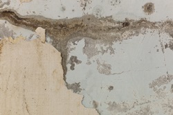 ביצוע בדיקת רטיבות טרם הכניסה לדיור מוגן